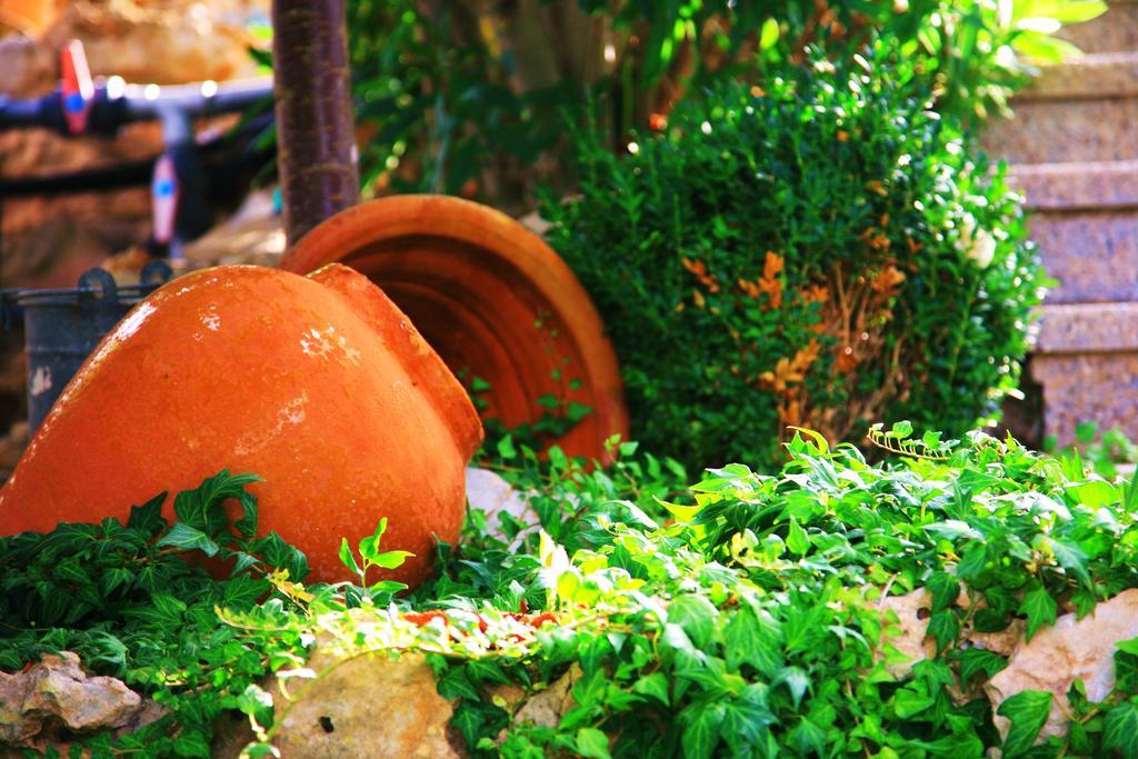 Villa Columbus Family Boutique Hotel Peguera Ngoại thất bức ảnh