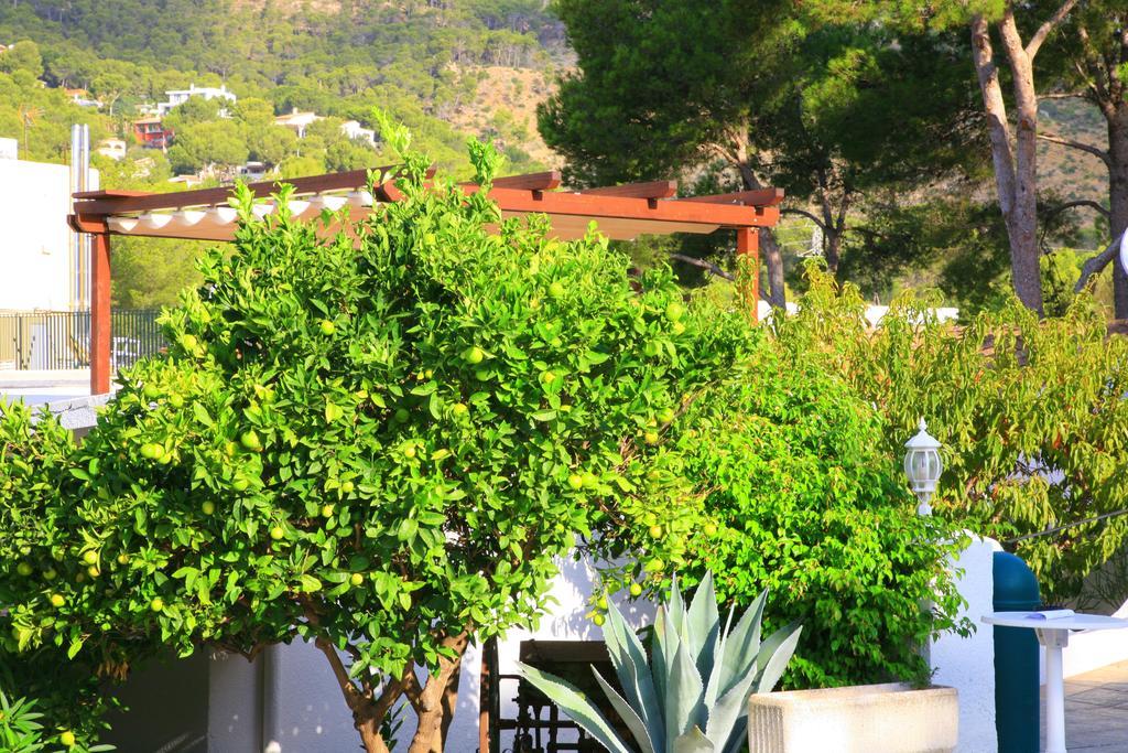 Villa Columbus Family Boutique Hotel Peguera Ngoại thất bức ảnh
